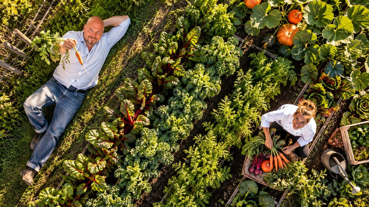 Drohnenaufnahme eines Gemüsefelds: René Kaplick liegt mit einer frisch geernteten Möhre am Feldrand, eine Köchin erntet Gemüse in einen Korb
